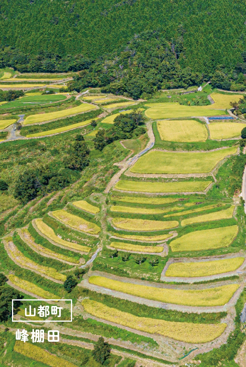 山都町峰棚田の写真