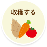 収穫する