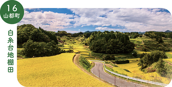 16_山都町白糸台地棚田の画像