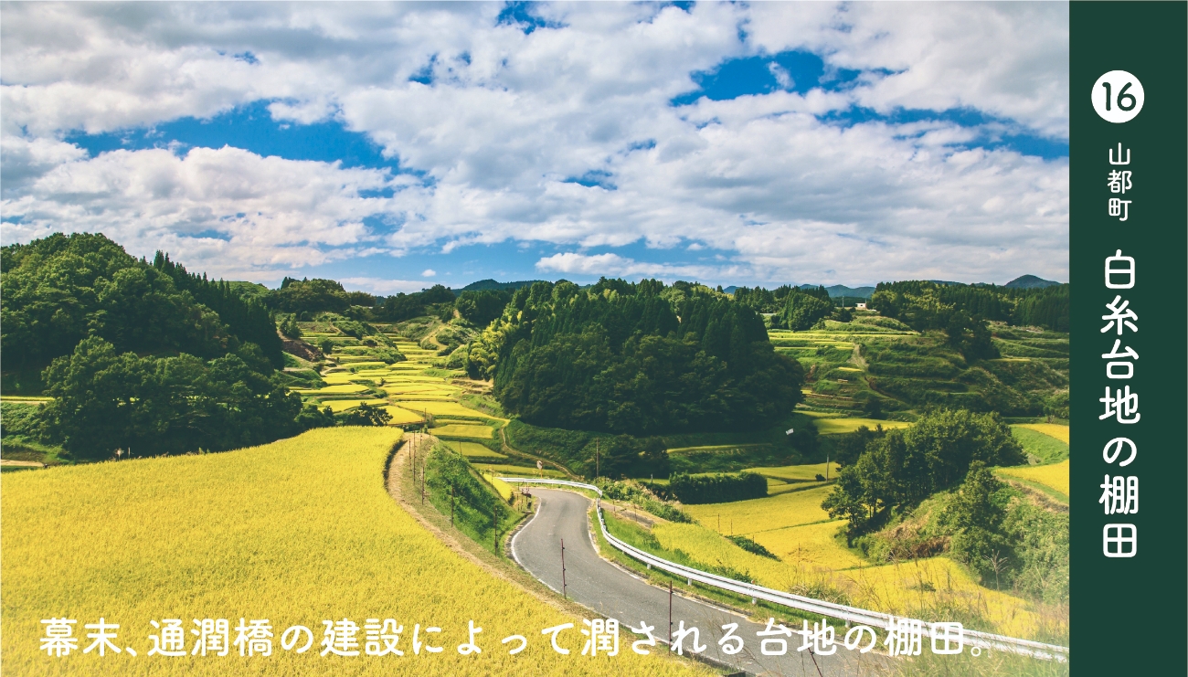 山都町白糸台地棚田