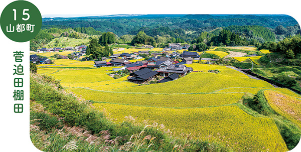 15_山都町菅迫田棚田の画像