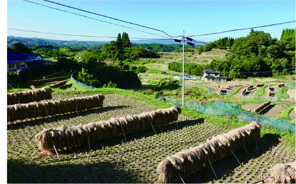 稲刈り後の風景