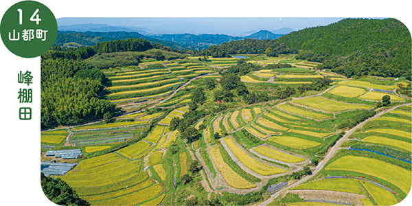 14_山都町峰棚田の画像