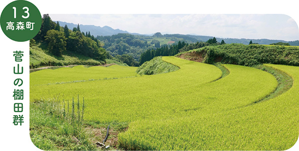 13_高森町菅山の棚田群の画像