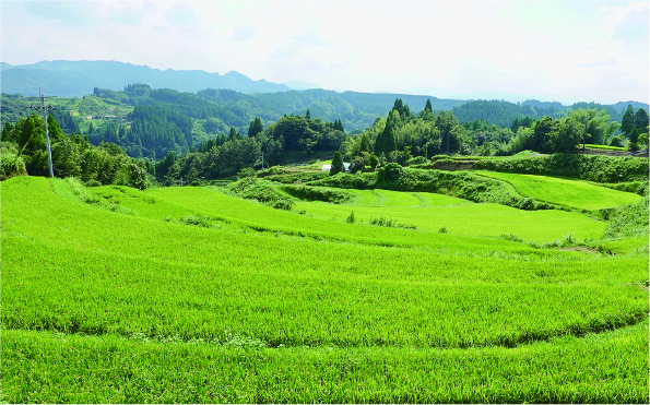 水湛の棚田