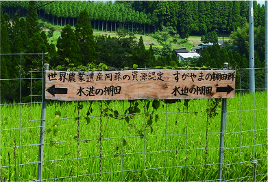 手作りのサインが要所に