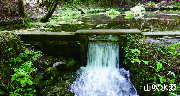 山吹水源