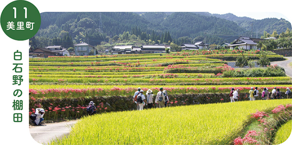 11_美里町白石野の棚田の画像