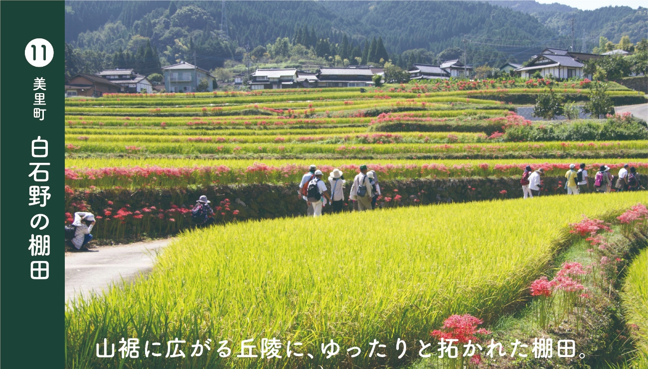 美里町白石野の棚田