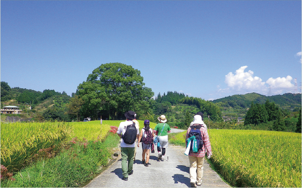 広い空、起伏に富んだ棚田、歩いていく