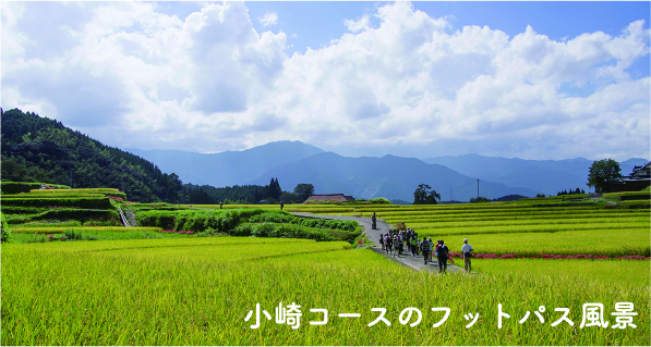 小崎コースのフットパス風景