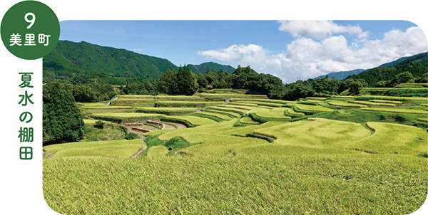 9_美里町夏水の棚田の画像