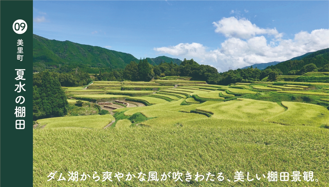 美里町夏水の棚田