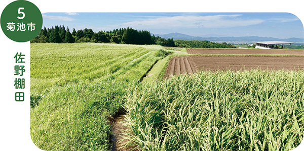 5_菊池市佐野棚田の画像
