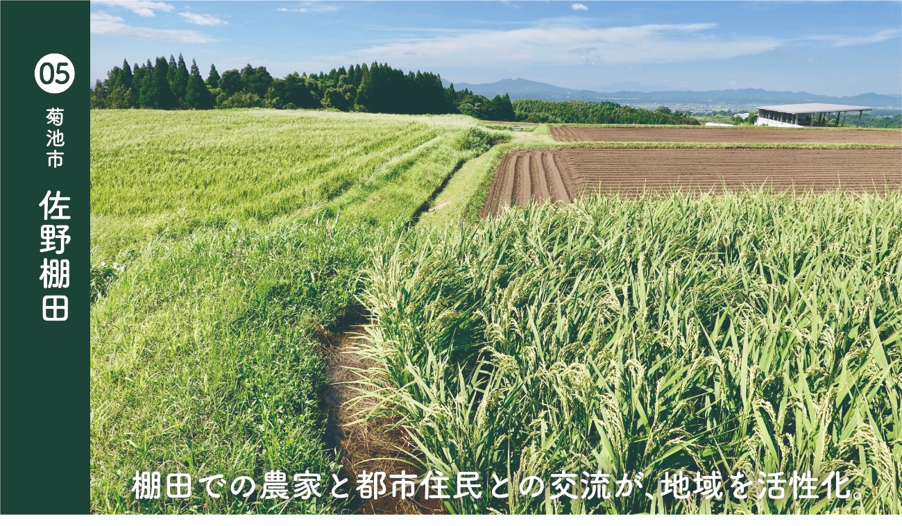 菊池市佐野棚田