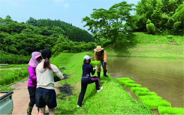 田植え作業の風景