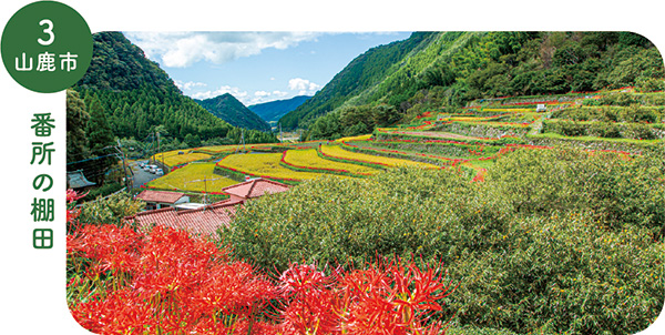 3_山鹿市番所の棚田の画像