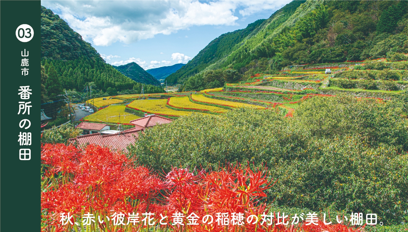 山鹿市番所の棚