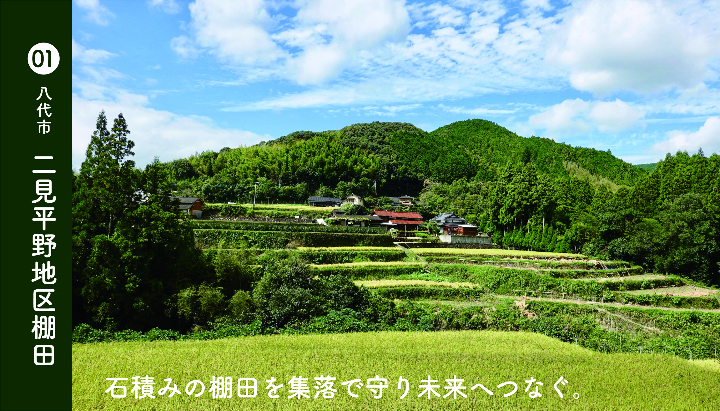 八代市二見平野地区棚田