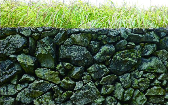 江戸時代から受け継がれてきた石積み