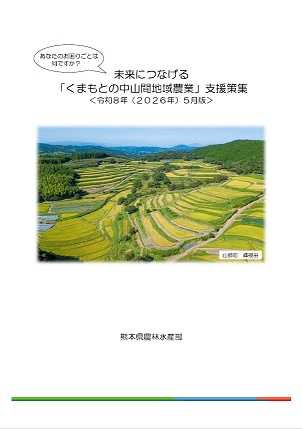 支援策集表紙
